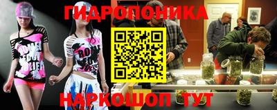 твердый Краснознаменск