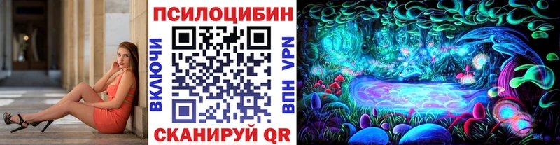 Псилоцибиновые грибы Magic Shrooms  Тула 